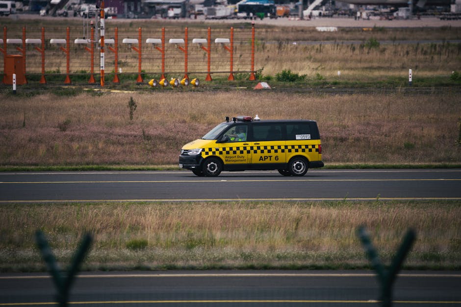 Un cetățean german amendat drastic după un incident cu poliția în Iași