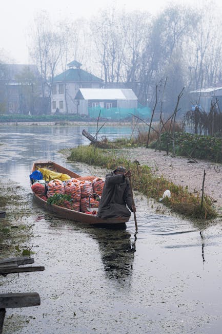 Viața la țară: o alegere din ce în ce mai populară în fața agitației urbane