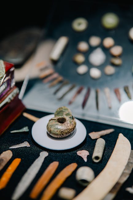 Descoperă misterele preistoriei la festivalul de arheologie din Timișoara
