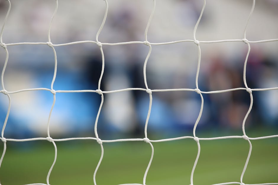 Denis Alibec, suspendat și amendat după incidentele din meciul cu Dinamo