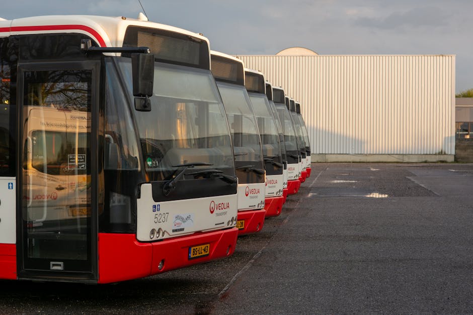 Compania de Transport Public Arad investește în autobuze second-hand pentru modernizare