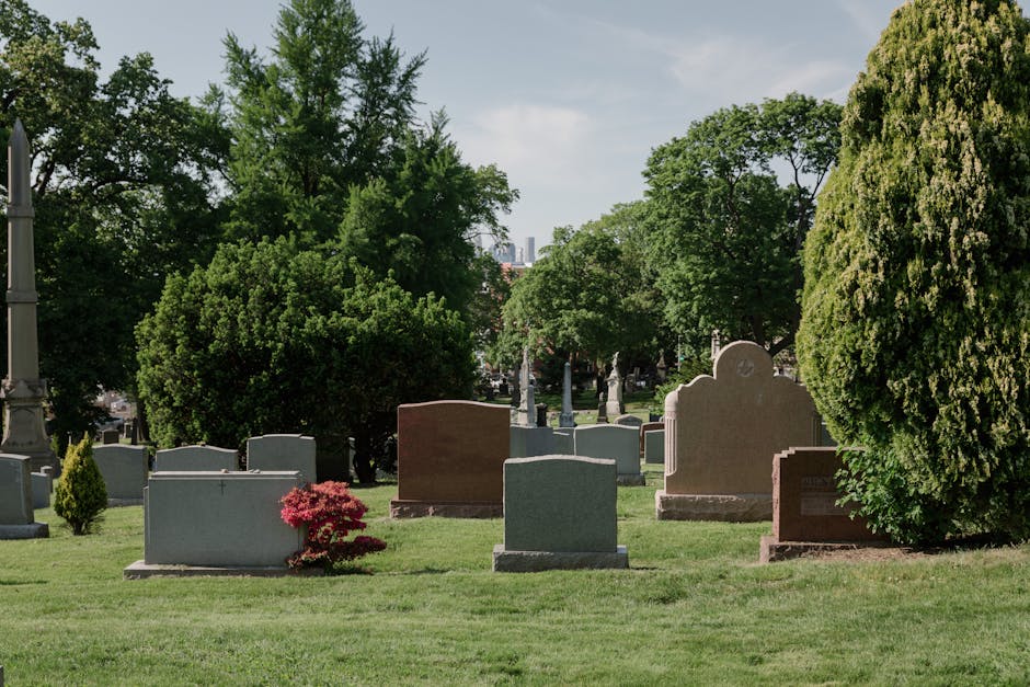 Cimitirul din Buzău se apropie de finalizare: iată ce va oferi