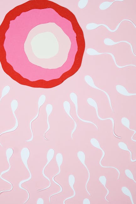 Programul de fertilizare in vitro a început: cererile au explodat în primele ore