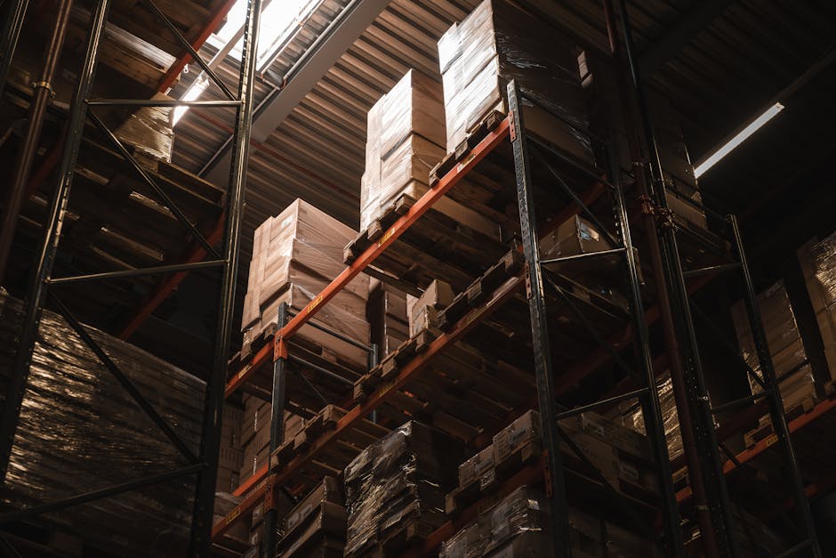 Antreprenori chinezi transformă peisajul logistic din România cu un nou parc în apropierea Bucureștiului