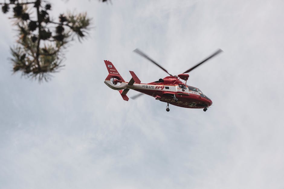 Incident grav: o femeie de 80 de ani atacată de un berbec, transportată cu elicopterul