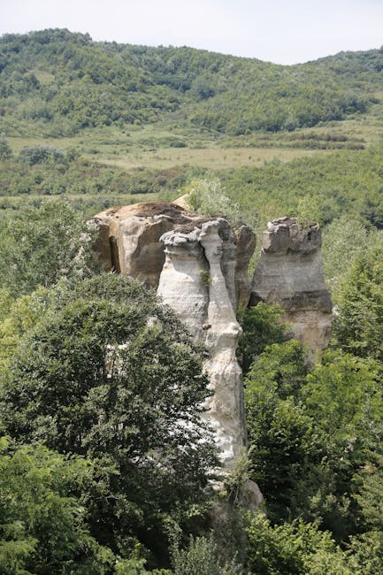 Discuții esențiale pentru biodiversitate în Bihor: Tánczos Barna aduce noutăți importante