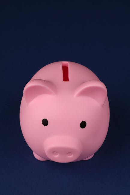 Investiții sigure: Titlurile de stat Fidelis din februarie oferă dobânzi atractive