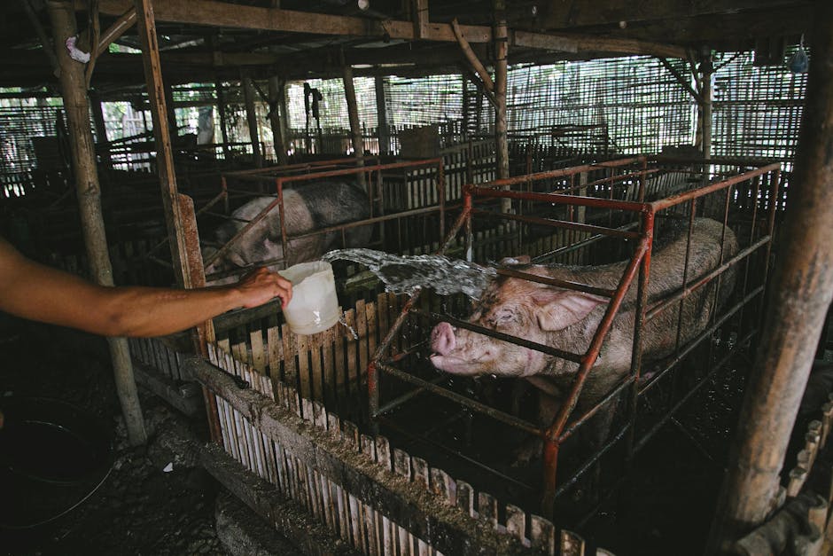 Fermierii din Bihor solicită sprijin pentru peste 100.000 de animale