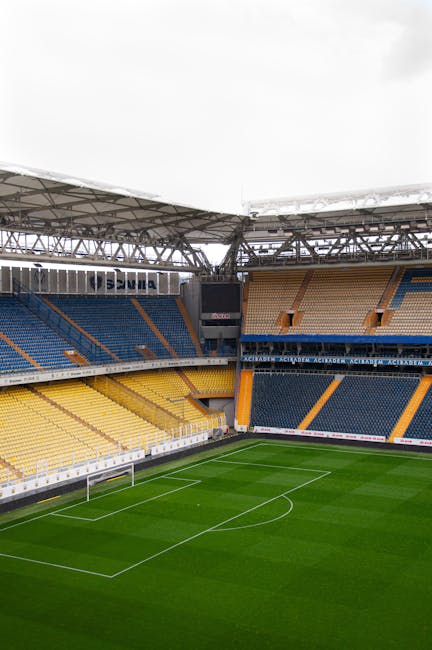 Proiectul Arena Eroii Timișoarei avansează: când va fi gata gazonul și data inaugurării