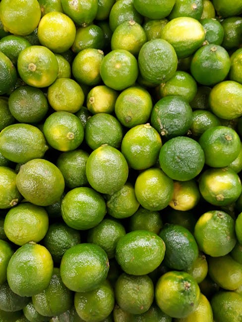 Descoperă calamondinul: fructul citric cu gust surprinzător și beneficii remarcabile