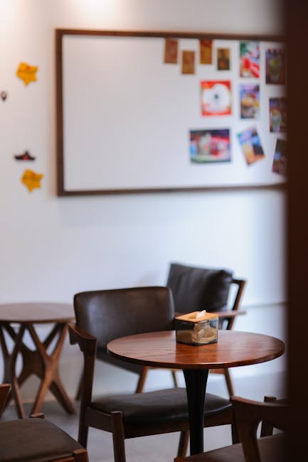 Năvodariul își îmbogățește oferta gastronomică cu 10House Coffee Shop SRL