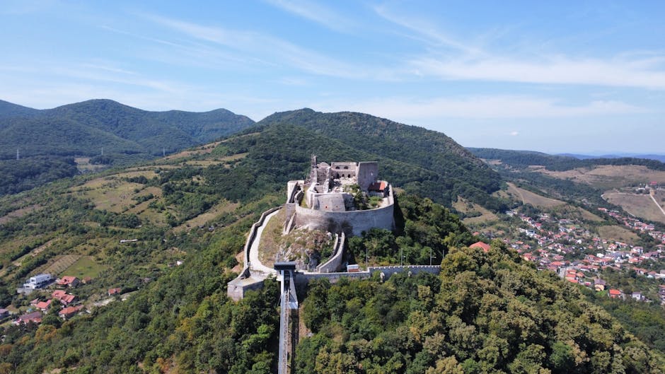Descoperă oportunitățile de muncă pentru absolvenți la Deva