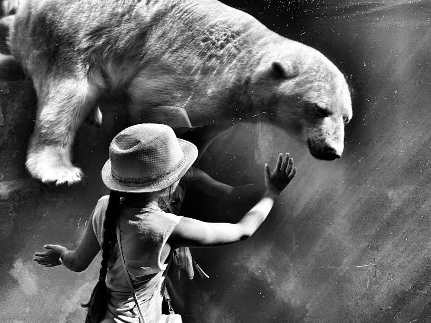 Întâlniri memorabile cu urșii la Grădina Zoologică din Târgu Mureș