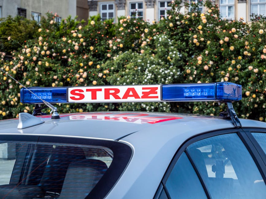 Alertă în Oradea: pachet suspect descoperit pe strada Kogălniceanu