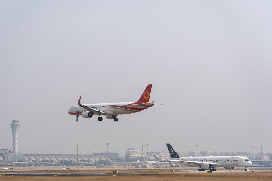 Scădere alarmantă a traficului pe Aeroportul Bacău, în contrast cu creșterea națională