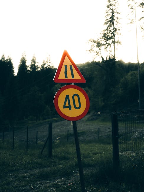 Cum se gestionează traficul intens la granița cu Moldova pentru a reduce timpii de așteptare