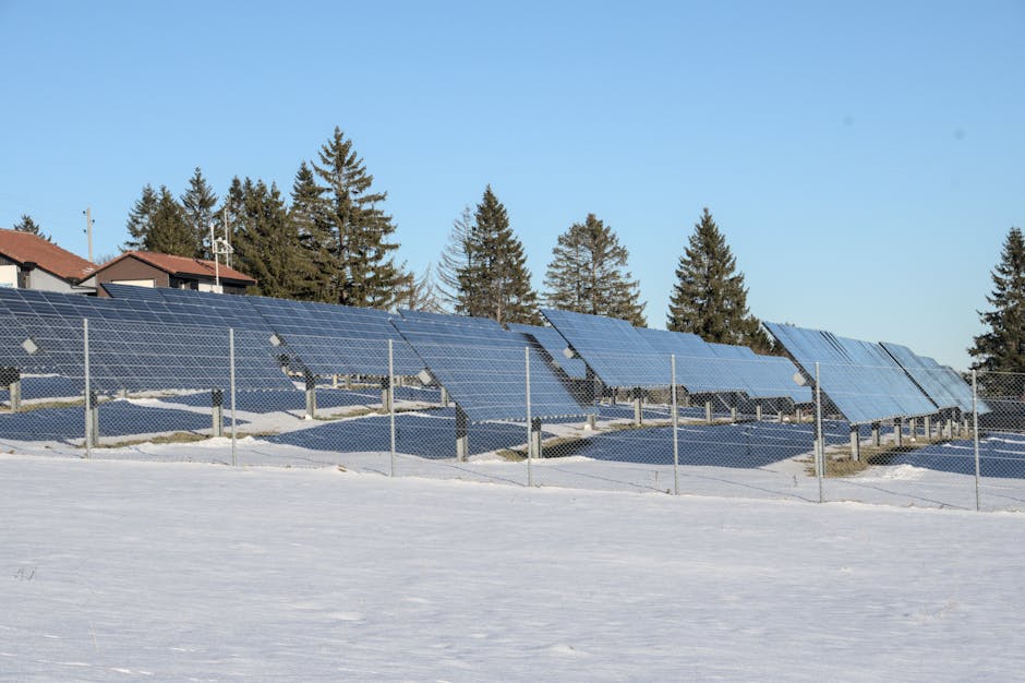 Tulcea, pe ultimul loc în energia solară: ce trebuie să știm despre prosumatori