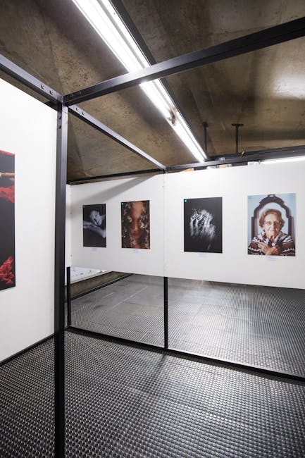 Expoziție captivantă de Mircea Cantor deschisă astăzi la Camera K’ARTE