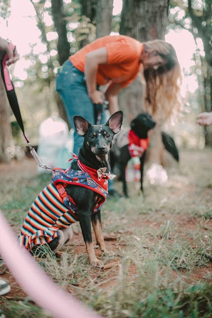 Palas și Palas Campus devin prieteni cu animalele: un weekend plin de activități educative