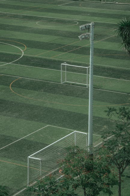 Pro Field: lider în soluții pentru infrastructura sportivă din România