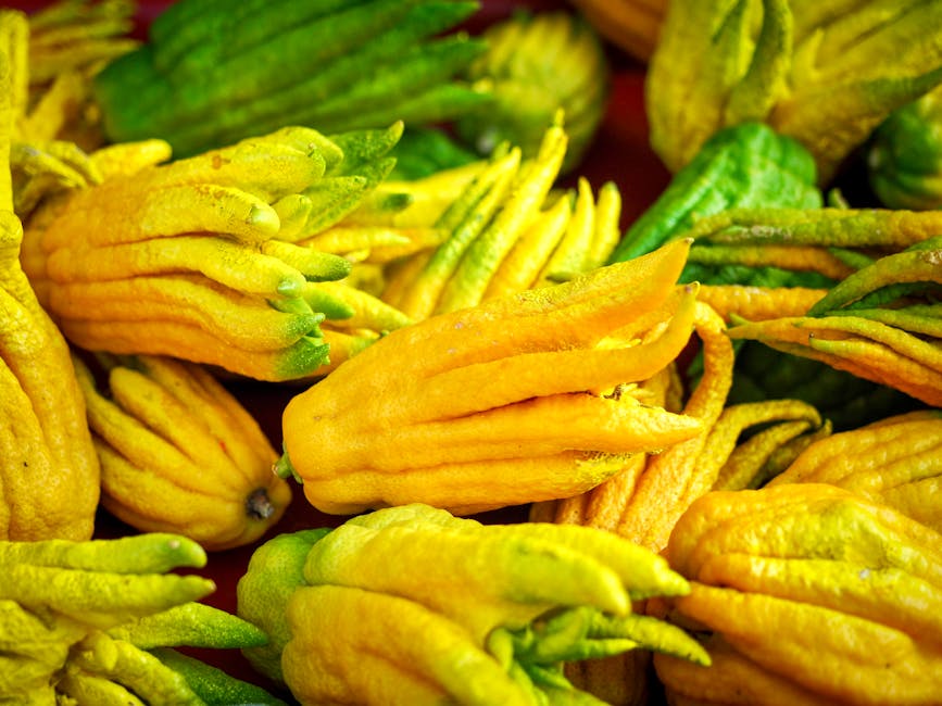 Descoperă Mâna lui Buddha: Fructul exotic cu beneficii surprinzătoare