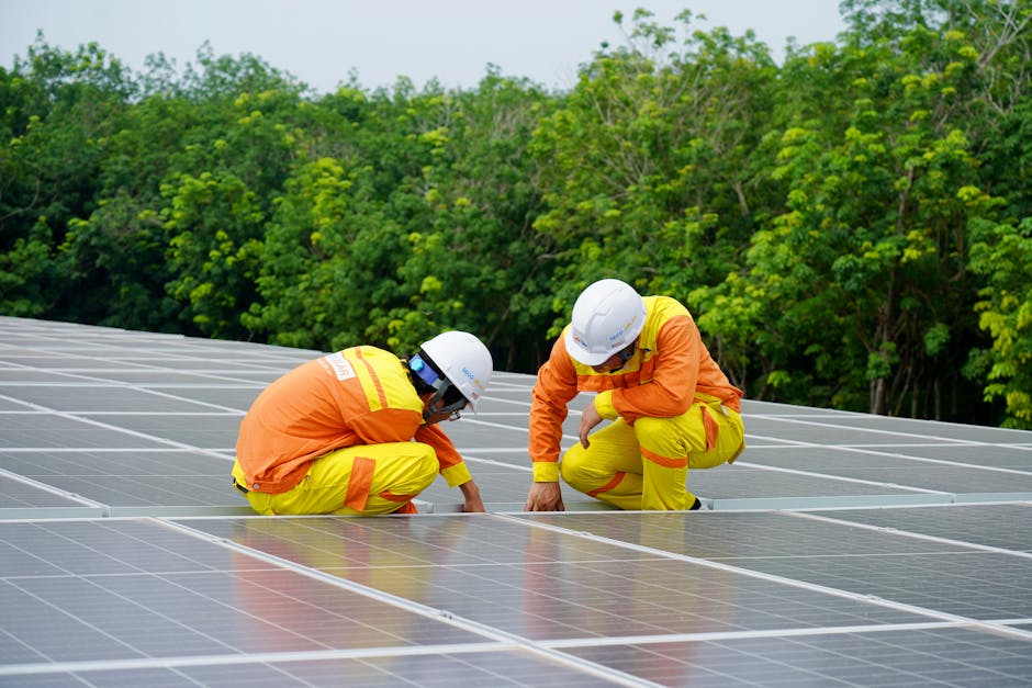 Controverse în jurul parcurilor solare: licitația câștigată de China Civil Engineering anulată