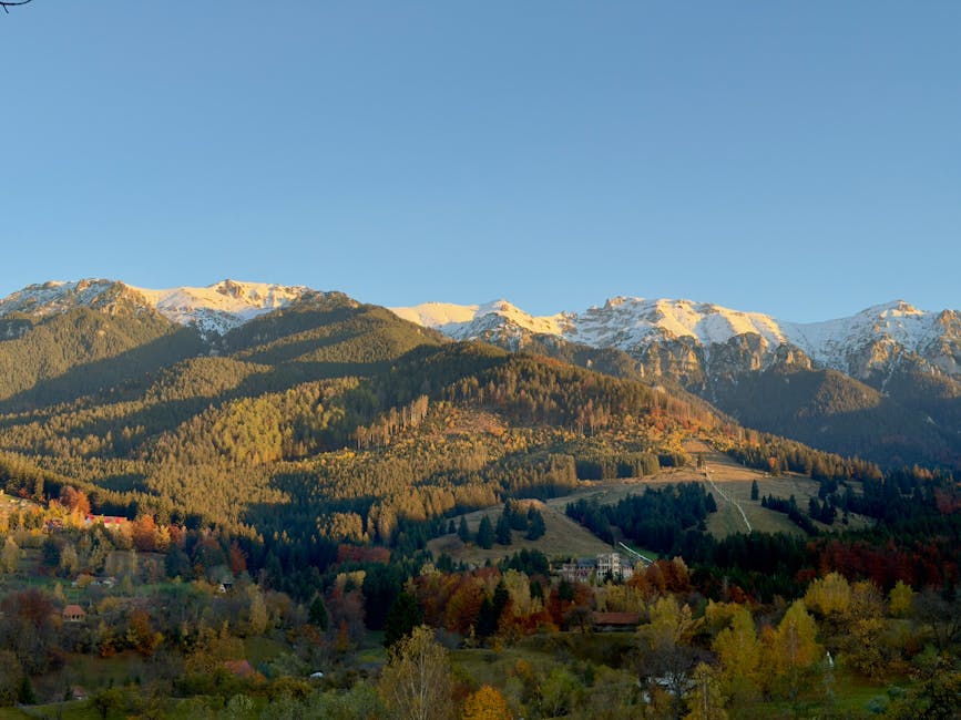Pădurea Craiului devine o destinație ecoturistică de top în România