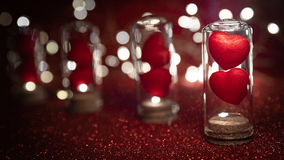 Descoperă magia iubirii pe Podul Prieteniei din Satu Mare de Valentine’s Day
