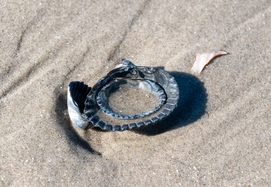 Descoperire misterioasă: resturi de dronă găsite pe plaja din Mamaia