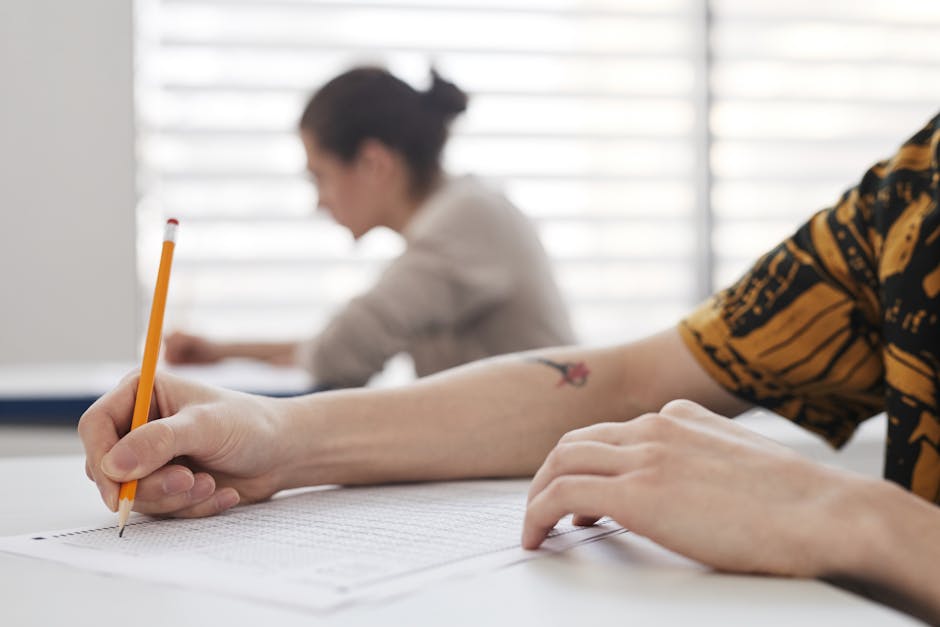România introduce teste PISA pentru adulți începând cu 2028