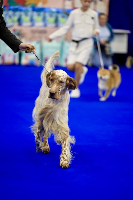Dracula Dog Show: un spectacol canin de excepție la Târgu Mureș