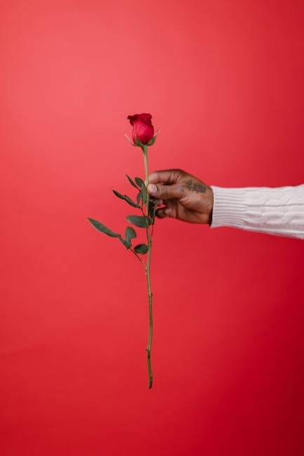 Idei creative de cadouri pentru Valentine's Day 2026