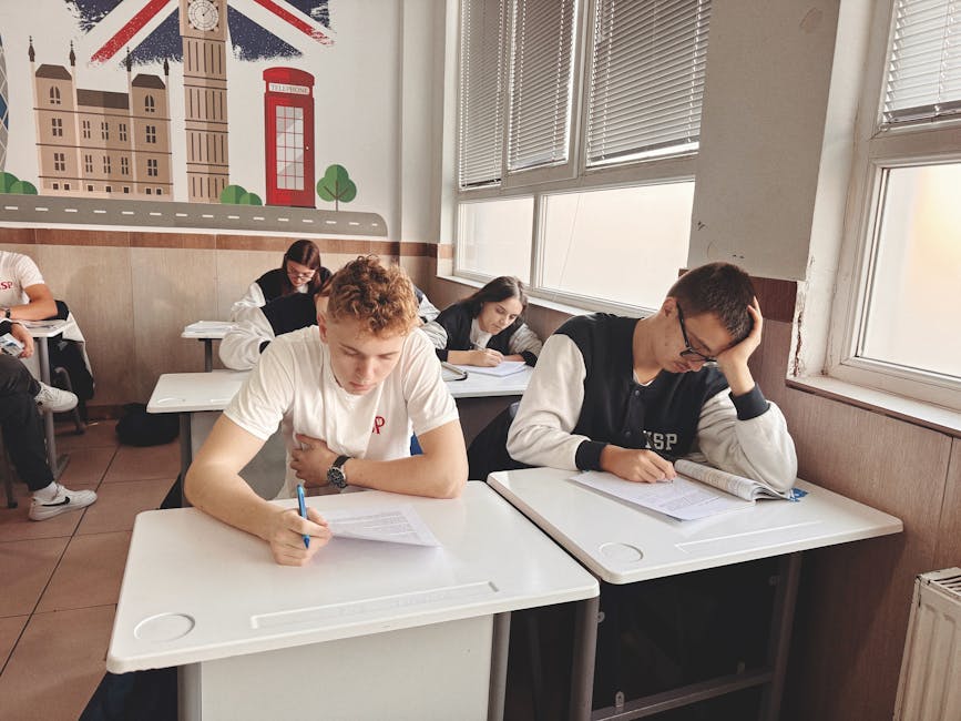 Rezultate surprinzătoare la Bac-ul de toamnă în Caraș-Severin: 133 de liceeni au reușit!