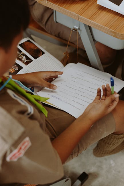 Examenul național și Bacalaureatul 2026: detalii despre simulări și programul acestora