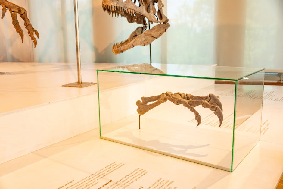 Schelet rar de dinozaur vândut cu 47,3 milioane de dolari: un nou record la licitație
