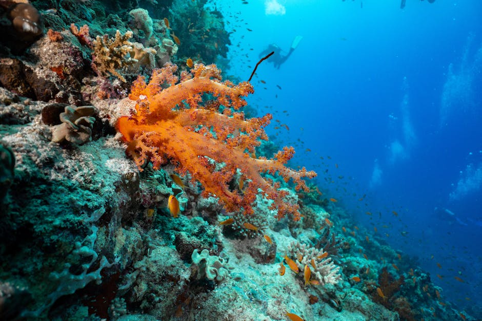 Progresele Uniunii Europene în conservarea biodiversității surprind prin angajamentele solide
