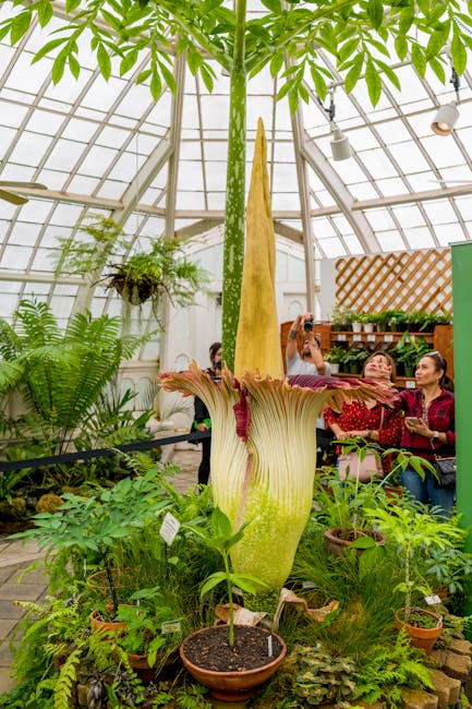 Descoperă splendorile plantelor exotice la Grădina Botanică din Iași