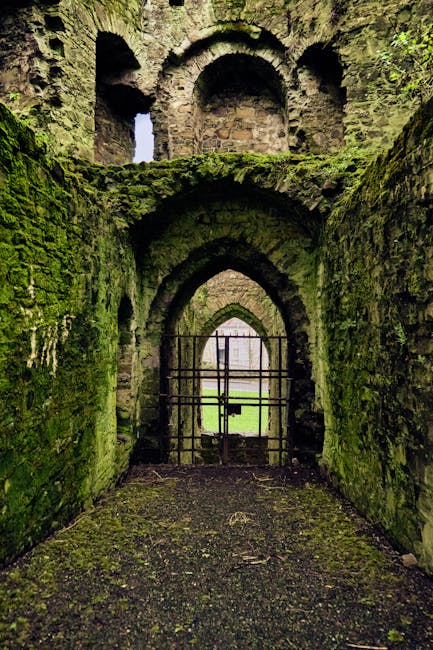 Descoperă poveștile captivante ale frescelor de la Castelul Daniel, adevărate comori medievale