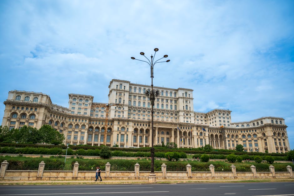 O firmă cu trecut incert revine în achizițiile publice cu contracte de sute de mii de lei