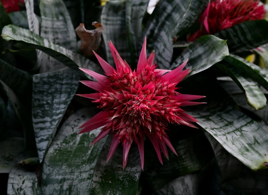 Descoperă magia plantelor exotice la Grădina Botanică din Iași