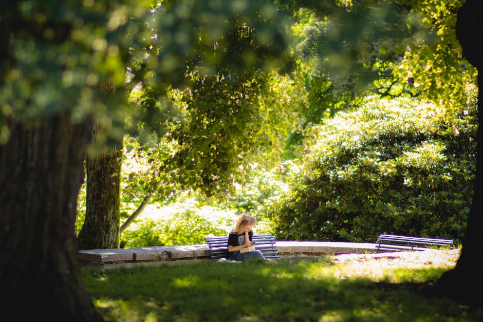 Oslo, cel mai verde oraș din lume: locuitorii săi trăiesc la câțiva pași de natură