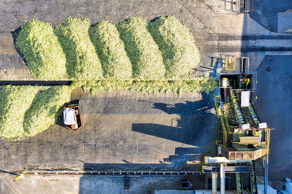 România, un gigant agricol care rămâne în umbra importurilor alimentare