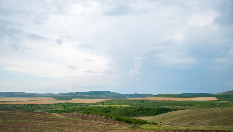 Romgaz primește undă verde pentru preluarea activelor Azomureș