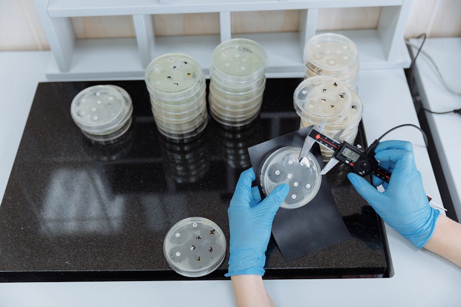 Descoperire şocantă: o bacterie de 5.000 de ani, rezistentă la antibiotice moderne, găsită în România