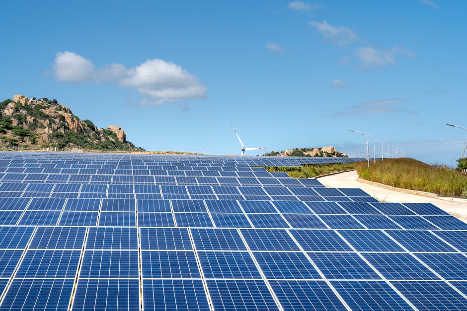 Decizie importantă privind acordul de mediu pentru parc fotovoltaic în Teleorman