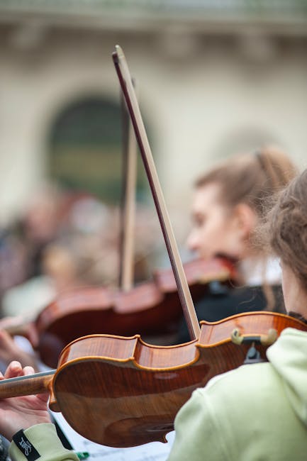 Concert de gală pe vârful Bucegilor: muzica lui Tomescu răsună din nou