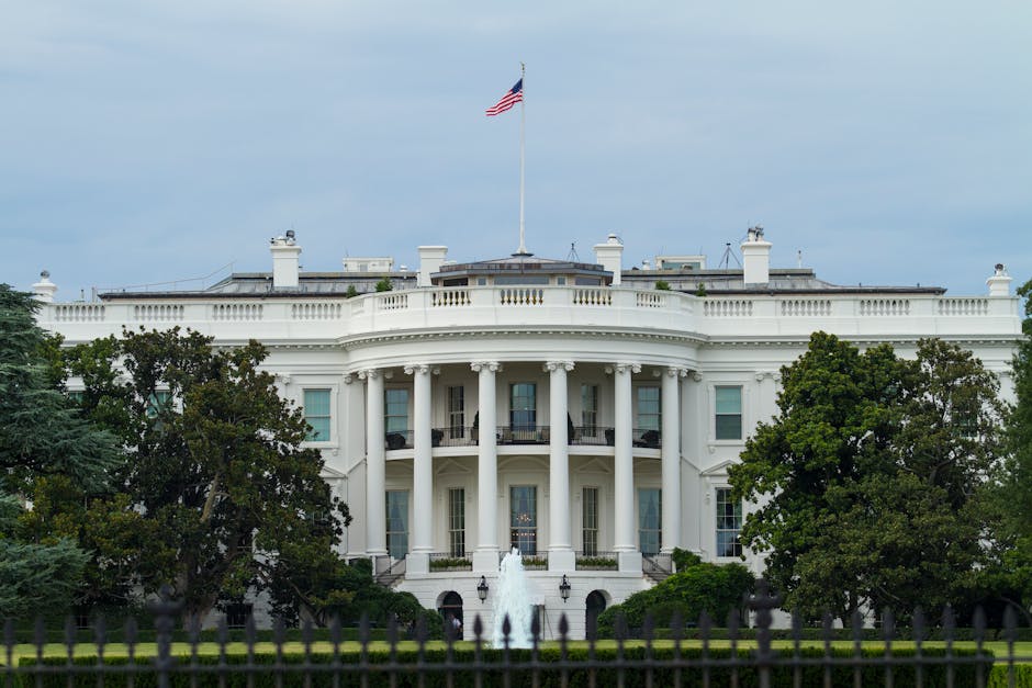 Ambasadoarea SUA în Grecia acuzată de implicare în demiterea guvernului Bolojan