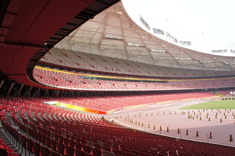 Cum poate Arena Națională să reducă factura de energie electrică?