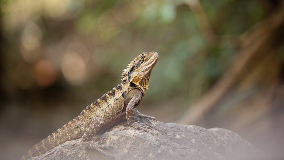 Un traficant de reptile din Australia condamnat la închisoare pentru metode ingenioase de transport