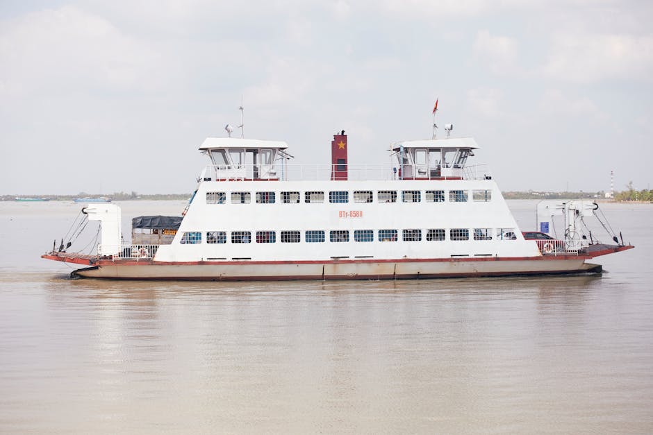 Activitatea bacului Chiciu–Ostrov și a ferryboatului Călărași–Aidemir suspendată din cauza vremii